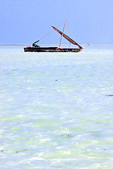 Image showing beach   in zanzibar seaweed  indian ocean tanzania     sailing