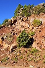 Image showing the    dades valley in atlas  africa ground tree  nobody