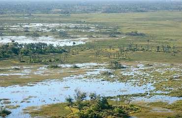 Image showing Okavango Delta