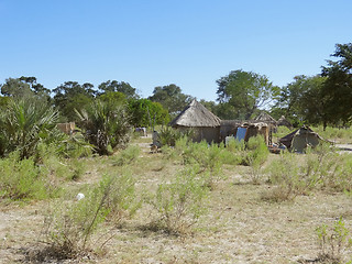 Image showing indigenous village at the Okavango Delta