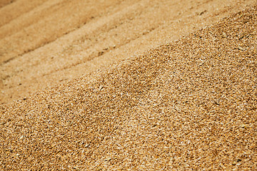 Image showing wheat grains  