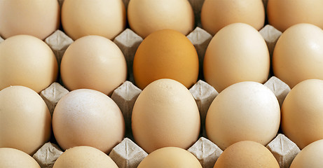 Image showing eggs (close up)  