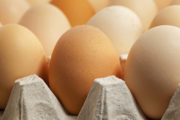 Image showing eggs. close up 