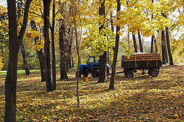 Image showing cleaning of foliage in park 