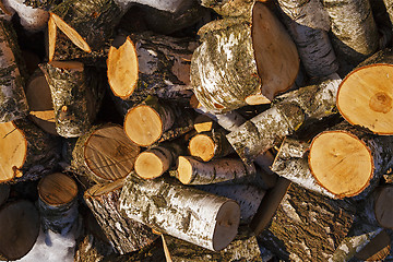 Image showing put firewood  