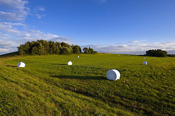 Image showing packed grass  