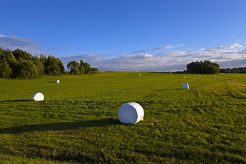 Image showing packed grass 