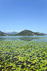 Image showing the lake .Montenegro