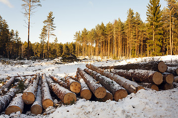 Image showing the cut trees  