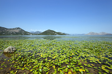 Image showing the lake   