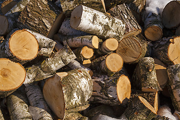 Image showing put firewood  