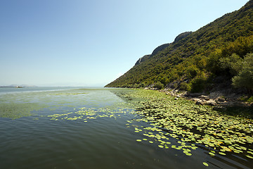 Image showing the lake. Montenegro