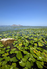 Image showing the lake. Montenegro 