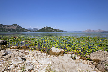 Image showing the lake 