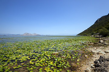 Image showing the lake. Montenegro