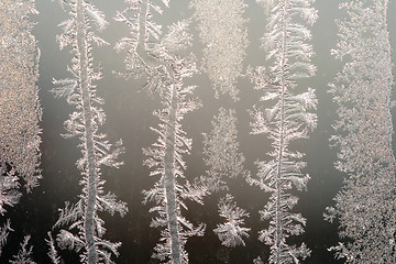 Image showing Frost drawing