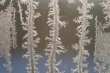 Image showing Frost drawing