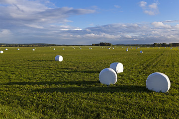 Image showing packed grass  