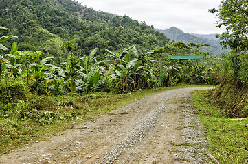 Image showing Village Mountain Dirt Road