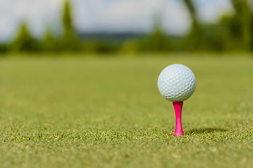 Image showing Pink Golf Tee
