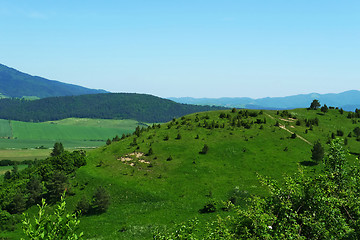 Image showing Summer scenery