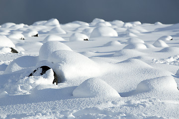 Image showing Snowy volcanic rocks in Iceland