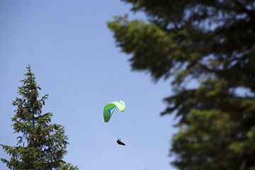 Image showing Green paraglider between trees