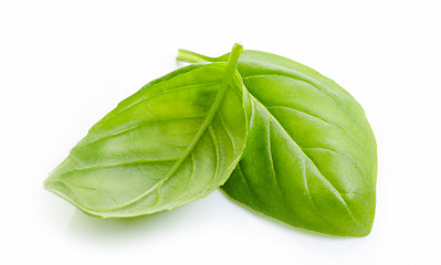 Image showing green basil leaves