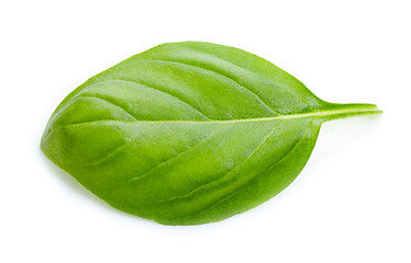Image showing green basil leaf