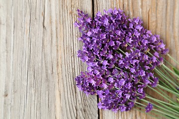 Image showing Bunch of lavender