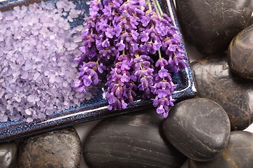 Image showing Lavender.