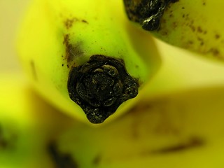 Image showing Banana macro