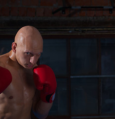 Image showing boxer in red gloves