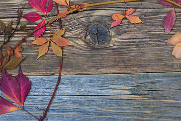 Image showing Autumn still life with dry red leaves