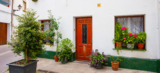 Image showing An outside pots filled with vibrant multicolored flowers