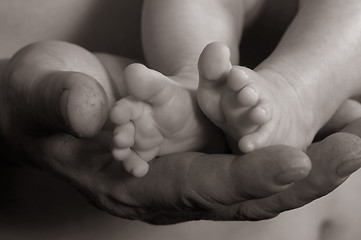 Image showing Baby's feet