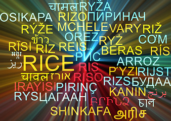 Image showing Rice multilanguage wordcloud background concept glowing