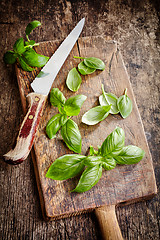 Image showing fresh basil leaves