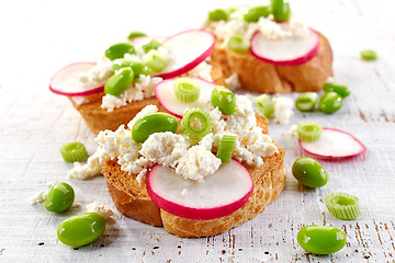 Image showing toasted bread with radish and cottage cheese