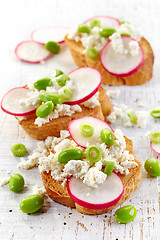 Image showing toasted bread with radish and cottage cheese