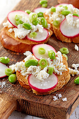 Image showing toasted bread with radish and cottage cheese