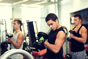 Image showing group of men with dumbbells in gym