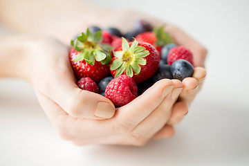 Image showing close up of woman hands holding berries