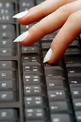 Image showing  typing fingers