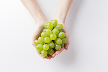 Image showing close up of woman hands holding green grape bunch