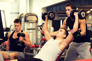 Image showing group of men with dumbbells in gym