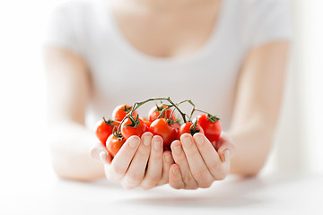 Image showing close up of woman hands holding cherry tomatoes