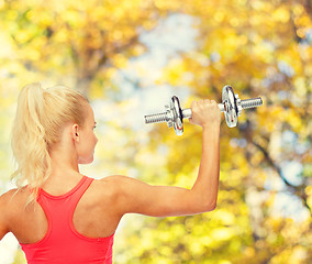 Image showing sporty woman with heavy steel dumbbell from back