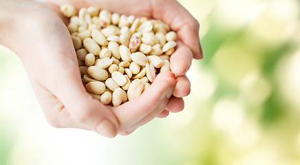 Image showing close up of woman hands holding peeled peanuts
