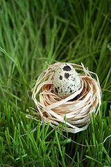 Image showing egg